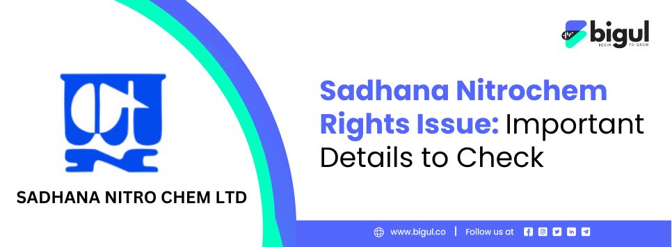 Sadhana Nitrochem Rights Issue